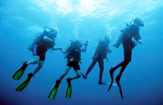 Buceo Conil, Buceo Tarifa, Buceo Chiclana