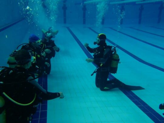 Curso buceo basico conil, Tarifa, Cadiz